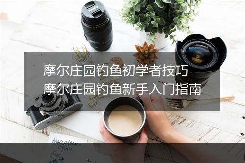 摩尔庄园钓鱼初学者技巧 摩尔庄园钓鱼新手入门指南
